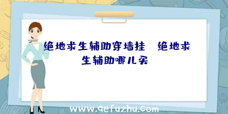 「绝地求生辅助穿墙挂」|绝地求生辅助哪儿买